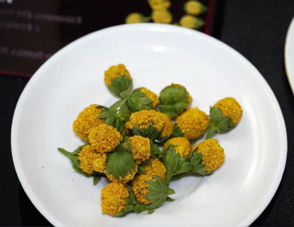 10 plantas con flores para tomar en tus ensaladas de verano