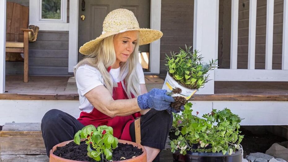 Cómo crear un buen programa de cuidado de plantas a largo plazo