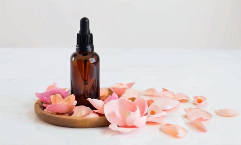 7 plantas buenas para cuidar la piel y hacer tus propios cosméticos