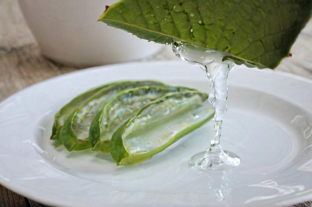 Contraindicaciones del aloe vera