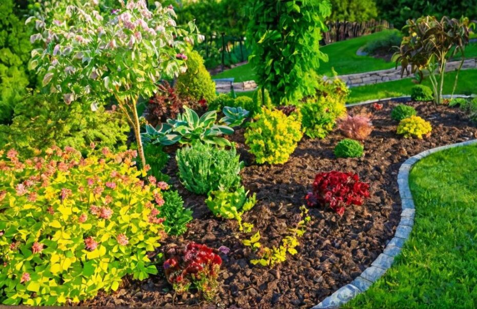Plantas perfectas para un jardín silvestre