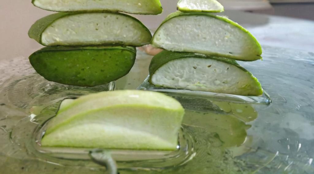 Contraindicaciones del aloe vera