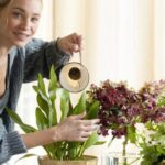 ¿El aire acondicionado es malo para las plantas? ¿El aire acondicionado es malo para las plantas?