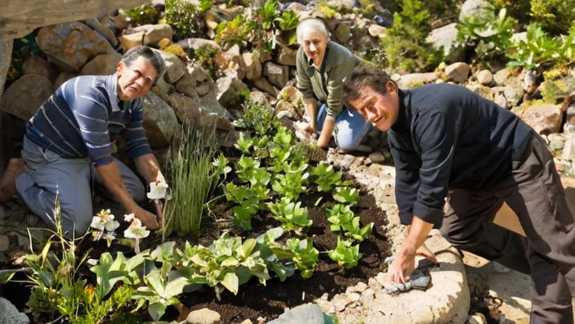 »Big dreams, small spaces», el programa de jardinería de Monty Don