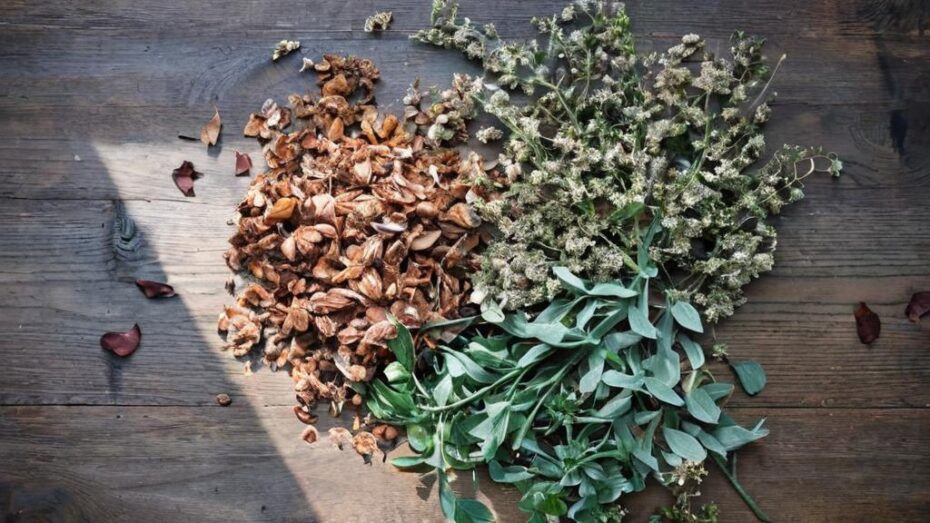 Cómo secar hierbas para té