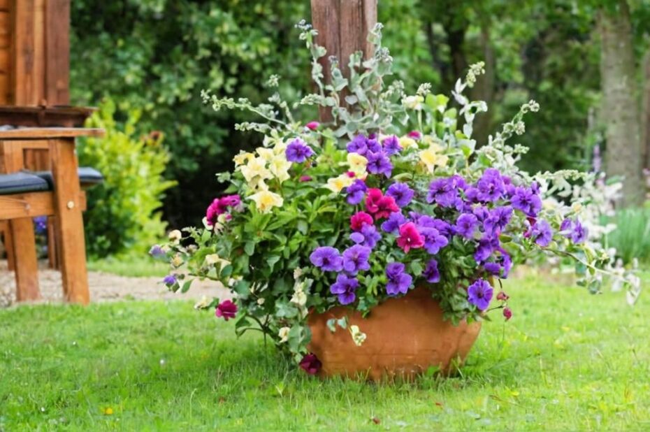 Significado de las Petunias y cuáles son sus propiedades