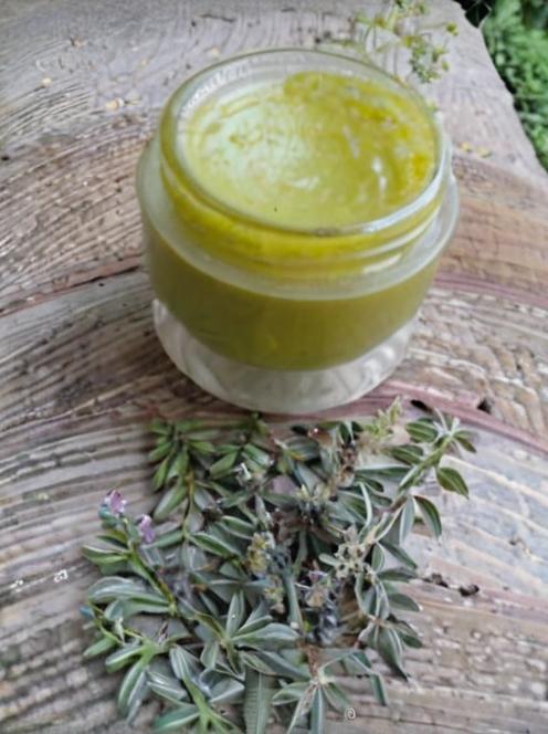 7 plantas buenas para cuidar la piel y hacer tus propios cosméticos
