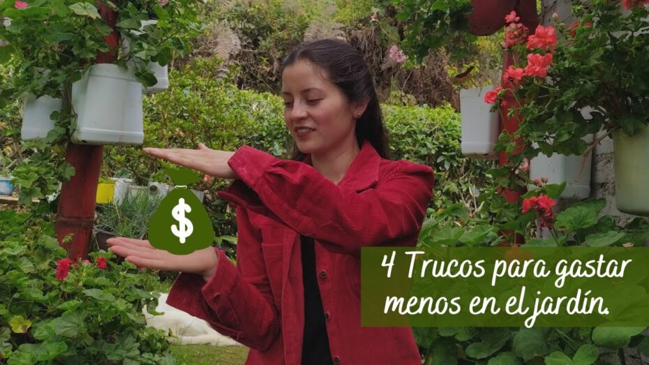 Ahorra dinero en el jardín: consejos y trucos para optimizar tus gastos