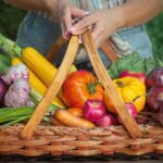 Características de los vegetales y sus tipos Características de los vegetales y sus tipos