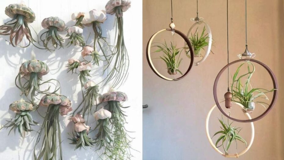 9 Ideas originales para regalar plantas de aire a tus invitados de boda