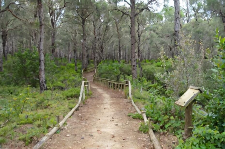 Guía de la biodiversidad de los Pinares de Aznalcázar