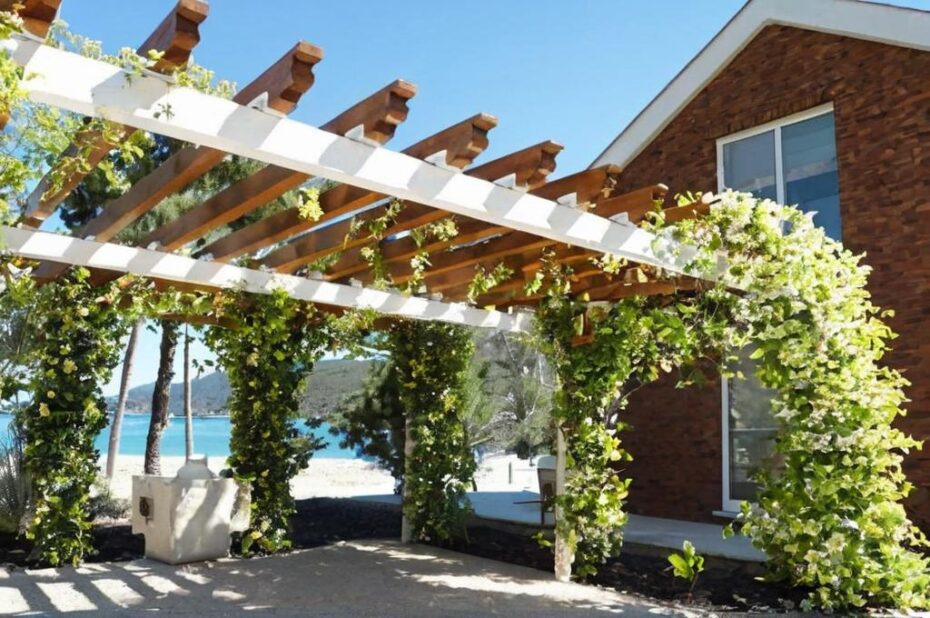 6 Plantas trepadoras para la entrada de casa