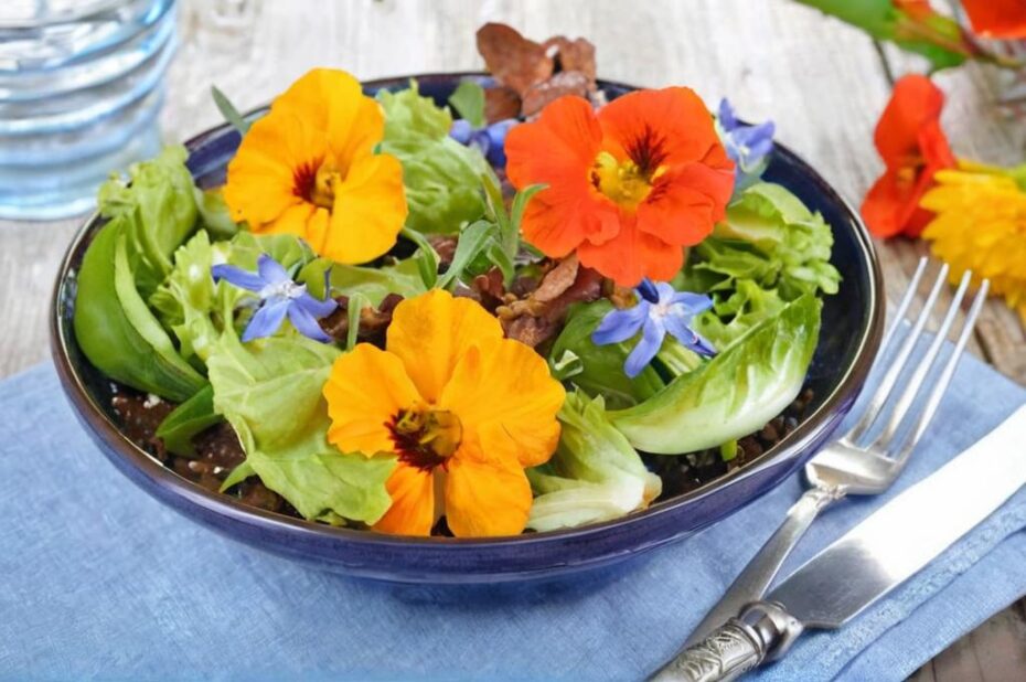 10 plantas con flores para tomar en tus ensaladas de verano